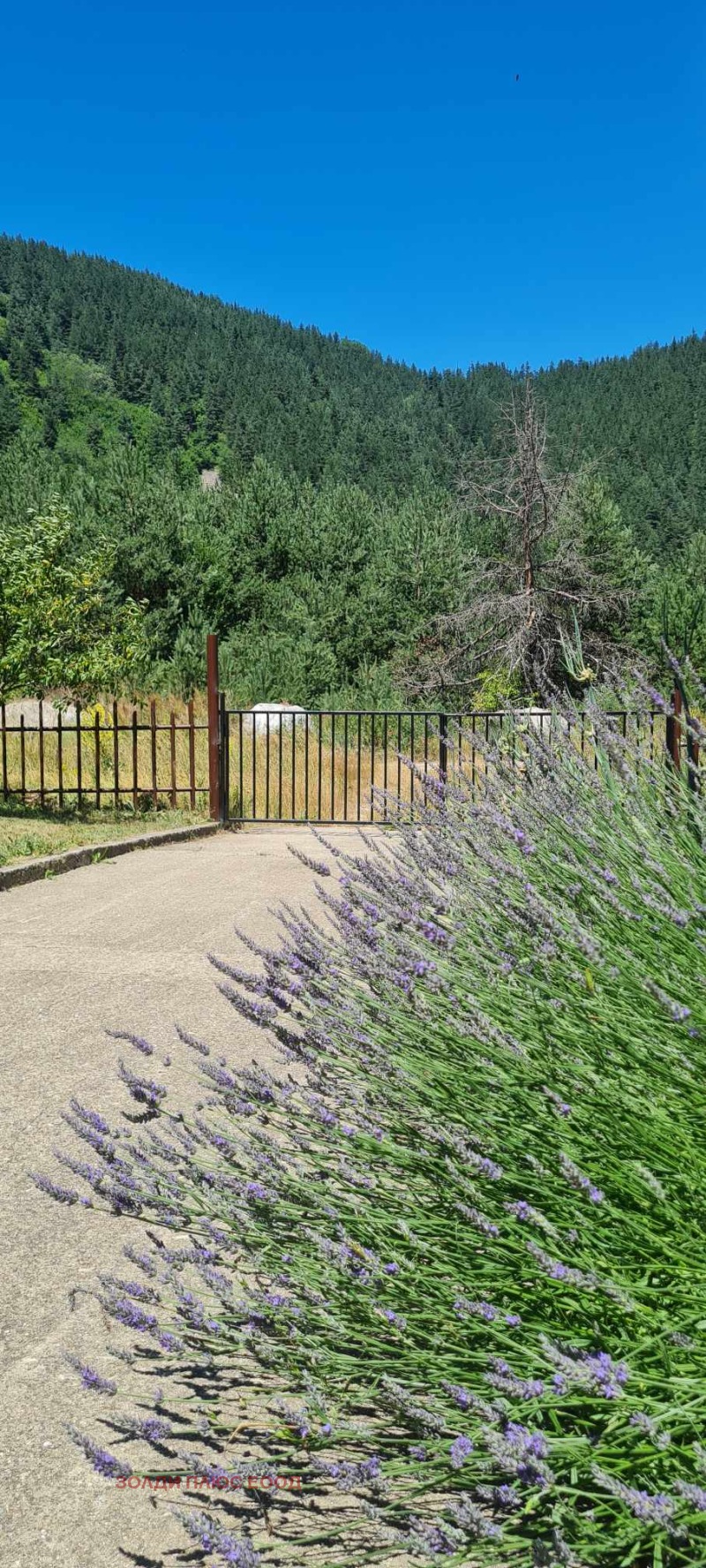 Дава под наем 2-СТАЕН, к.к. Боровец, област София област, снимка 12 - Апартаменти - 52950485