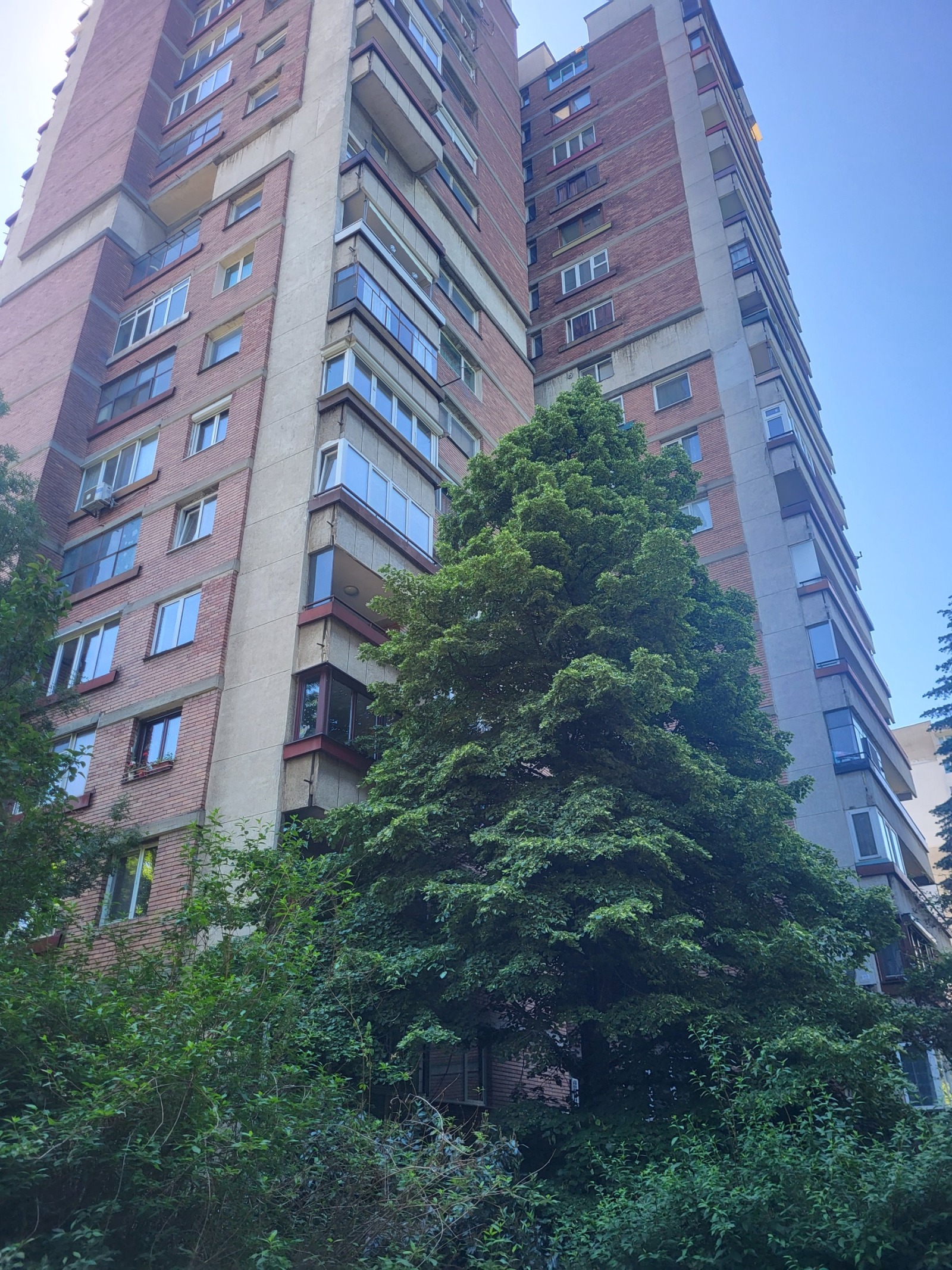 ���� ��� ���� 3-����� | Imot.bg � ����������� 17