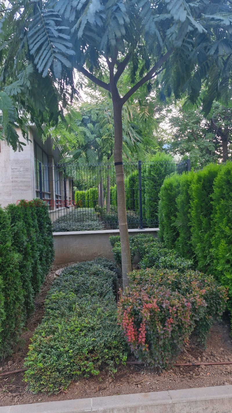 En renta  1 dormitorio Sofia , Tsentar , 90 metros cuadrados | 42935200 - imagen [16]