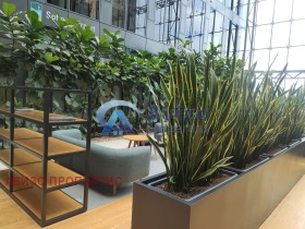 ���� ��� ���� ���� | Imot.bg � ����� ������ 8