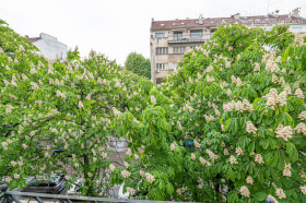 ���� ��� ���� 4-����� | Imot.bg � ����� ������ 17